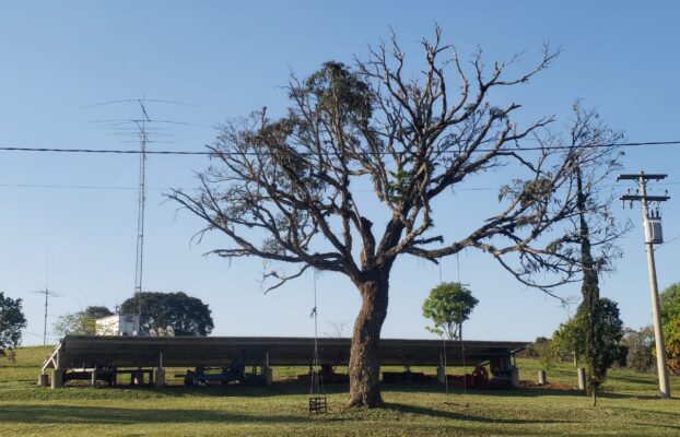 Quais os impactos da conectividade em uma propriedade agrícola: