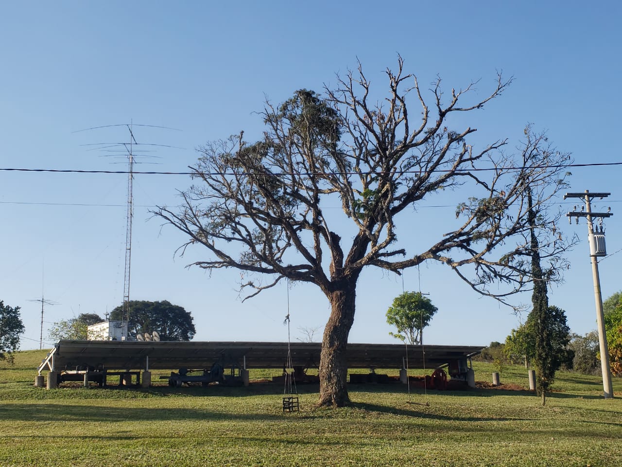 Quais os impactos da conectividade em uma propriedade agrícola: